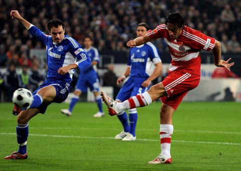 这不仅展示 这不仅展示